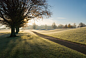 'Mount Juliet Golf Course Covered In Frost; Thomastown, Kilkenny, Ireland'