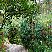 'Garden Path In Spiritual Retreat Willka T'ika; Sacred Valley Peru'