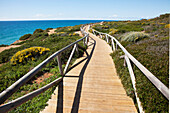'A Wooden Boardwalk Along The Coast Near Conil; Andalucia, Spain'