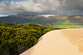 'Punta Paloma Sand Dunes; Tarifa, Spain'