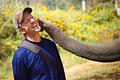 'Male Tourist Being Kissed By Elephant; Chiang Mai, Thailand'