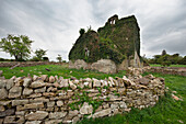 'Ruins Of St. Nicolas Church; Thomastown, County Kilkenny, Ireland'