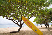 Surf Rescue Surfboard On The Sand