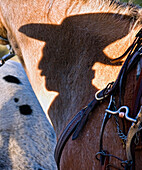 Shadow Of A Cowboy On A Horse