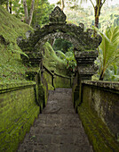 'Bali, Indonesia; Moss-Lined Outdoor Stairs On Hiking Trail'