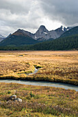 'Engadine Meadow In Kananaskis Provincial Park; Alberta, Canada'