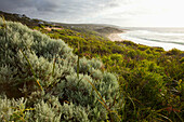 'Beach And Cliffs On The Coastline; Yallingup, Western Australia, Australia'