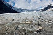 Athabasca Glacier, Columbia Icefield, Jasper National Park, Alberta, Canada