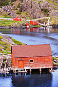 View Of Village And Harbour, Salt Harbour Island, Newfoundland, Canada
