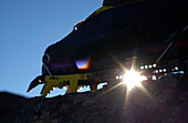 Mountain Climbing Crampon Silhouette, Mount Cokely, Port Alberni, Bc, Canada