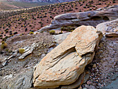 'Various Rocks On A Desert Landscape; Utah, United States of America'
