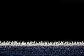 'Frost Covered Grass Against A Black Background; Cambridge, United Kingdom'