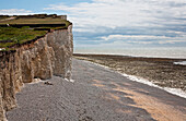 'Chalk cliff and beach;Sussex england'