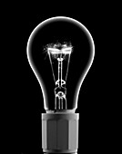 Light Bulb With Current