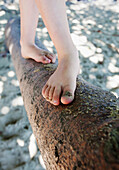 'A child in dirty bare feet walks across a fallen tree trunk over water;Gold coast queensland australia'