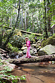 'A girl walks across a fallen tree over water in mount warning national forest;New south wales australia'