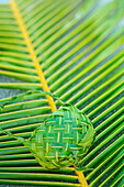 'Traditional hand woven palm frond purse;Fakarava island tuamotus group french polynesia south pacific'