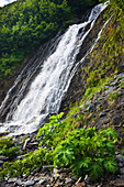 Waterfall In Shoup Bay State Marine Park, Prince William Sound, Southcentral Alaska, Summer