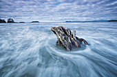 'The tide coming in and flowing around a sunken piece of driftwood, chesterman beach;Tofino, vancouver island, british columbia, canada'
