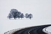 'A road curving by a snow covered field and trees in chatsworth park;Derbyshire, england'
