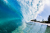 'Blue ocean wave with a view of trees along the coast,Hana, maui, hawaii, united states of america'