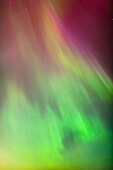 'A green and red northern lights corona in the sky above the tony knowles coastal trail in winter;Anchorage alaska united states of america'