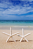 'Starfish on the beach at waimanalo;Honolulu oahu hawaii united states of america'