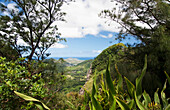 'Viewpoint near nuuanu pali lookout windward coast in distance;Oahu hawaii united states of america'