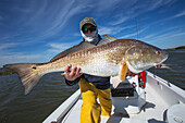 'Man holding a redfish (sciaenops ocellatus);Venice louisiana united states of america'