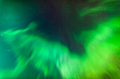 'A green northern lights corona in the sky above the tony knowles coastal trail in winter;Anchorage alaska united states of america'
