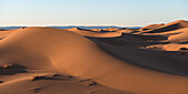 A landscape of drifting sand