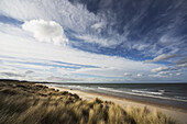 'Grass blowing in the wind and sand along the water's edge; Bamburgh, Northumberland, England'
