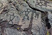 'Pu'u Loa Petroglyphs; Big Island, Hawaii, United States of America'