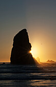 'The sun sets over sea stacks; Cannon Beach, Oregon, United States of America'