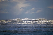 'Big waves break along the Oregon coast; Gearhart, Oregon, United States of America'