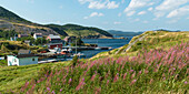 'A fishing village along the coastline of Newfoundland; Trinity, Newfoundland and Labrador, Canada'