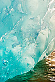 'Close up of ice surface of iceberg broken off Mendenhall Glacier floating in Mendenhall lake, flipping over and exposing blue polished ice from being underwater; Juneau, Alaska, United States of America'