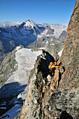 Bergsteiger am Arbengrat des Obergabelhorn (4034 m), Dent d'Herens im Hintergrund, Wallis, Schweiz