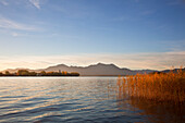 View over Chiemsee to Fraueninsel, near Gstadt, Chiemsee, Chiemgau region, Bavaria, Germany