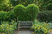 Bench in front of heart-shaped laurel, Bateman's, home of the writer Rudyard Kipling, East Sussex, Great Britain