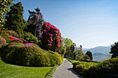Villa Carlotta gardens, Tremezzo, Lake Como, Lago di Como, Province of Como, Lombardy, Italy
