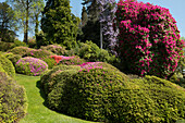 Villa Carlotta gardens, Tremezzo, Lake Como, Lago di Como, Province of Como, Lombardy, Italy