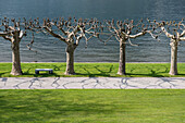 English style gardens of Villa Melzi, Bellagio, Lake Como, Lago di Como, Province of Como, Lombardy, Italy