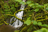 Lotenbachklamm, Wutachschlucht, near Bonndorf, Black Forest, Baden-Wuerttemberg, Germany