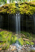 Wasserfall in der Wutachschlucht, bei Bonndorf, Schwarzwald, Baden-Württemberg, Deutschland
