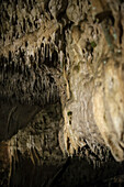 Giant Stalagmites and Stalactites in a dripstone cave, Karlshoehle and Baerenhoehle, Sonnenbuehl, Swabian Alp, Baden-Wuerttemberg, Germany