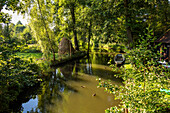 Fließ im Spreewald, UNESCO Biosphärenreservat, Brandenburg, Deutschland