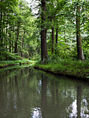 Fließ im Spreewald, Hochwald, UNESCO Biosphärenreservat, Lehde, Lübbenau, Brandenburg, Deutschland