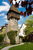 historic center with Storchenturm tower, Waldshut-Tiengen, Black Forest, Baden-Wuerttemberg, Germany