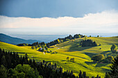 Schauinsland, near Freiburg im Breisgau, Black Forest, Baden-Wuerttemberg, Germany